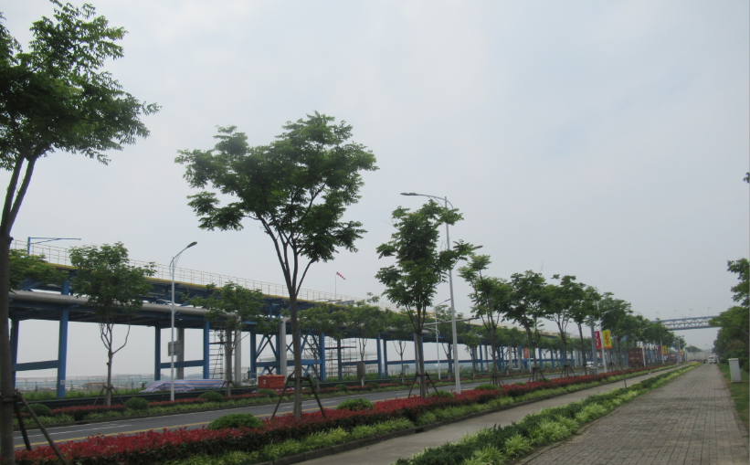 1604999580104.png image.png